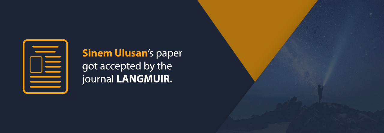 Sinem Ulusan's Paper Got Accepted By LANGMUIR!